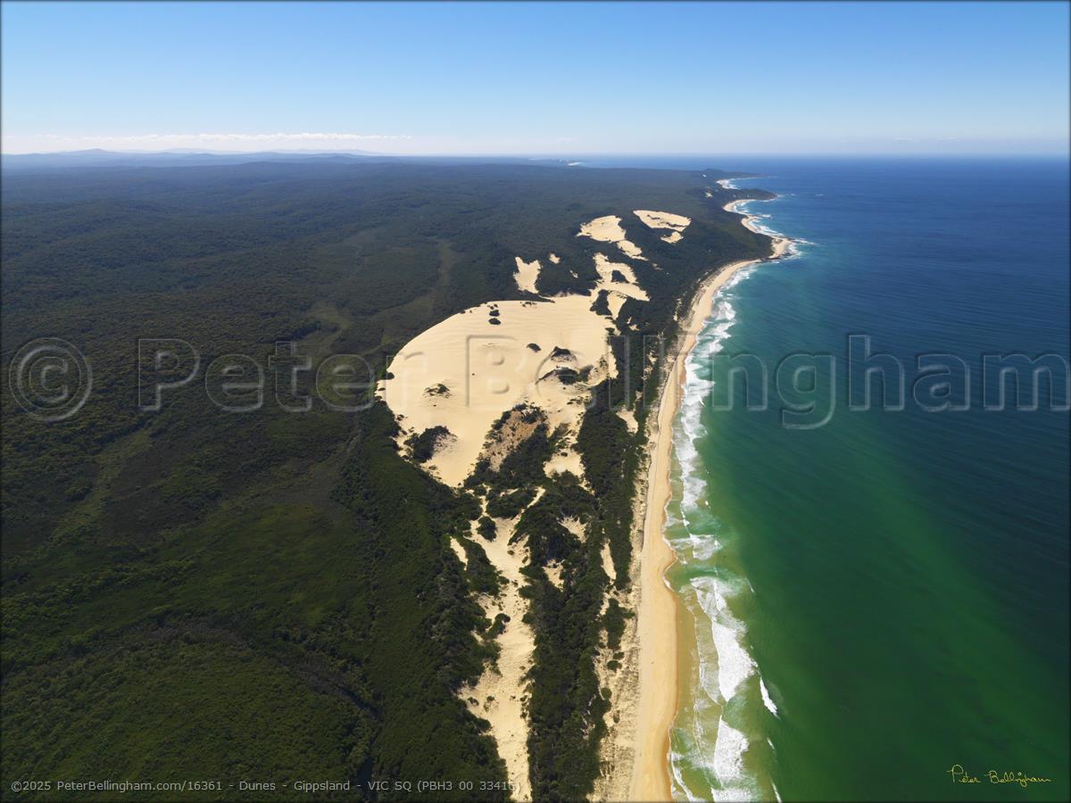 Peter Bellingham Photography Dunes - Gippsland - VIC SQ (PBH3 00 33416)